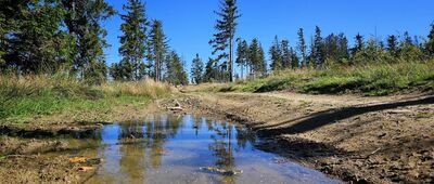 Mędralowa Zachodnia ↔ Mędralowa