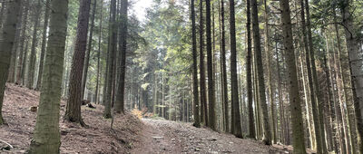 Porąbka, ul. Smrekowa ↔ Kiczera