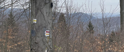 Przełęcz Isepnicka