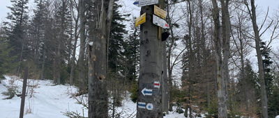 Przełęcz Przysłop Cisowy