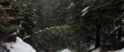 Przełęcz Szopka ↔ Szopczański Potok