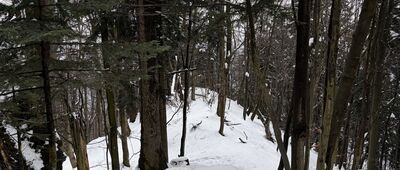 Trzy Korony, kasa ↔ Kosarzyska