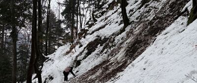 Szopczański Potok ↔ Kosarzyska