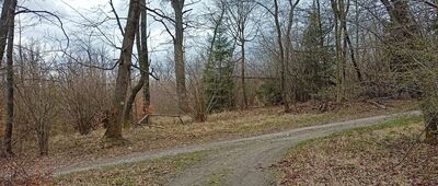 Pod Witoszem ↔ Lubiechów, ul. Lisia