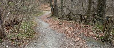 Jeziorko Daisy ↔ Pod Witoszem