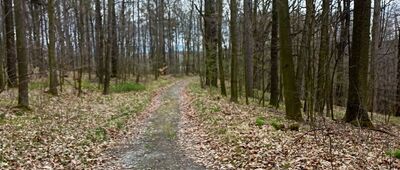 Jeziorko Daisy ↔ Pod Sowiną