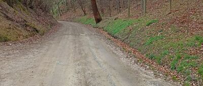 Pod Sowiną ↔ Witoszów Górny