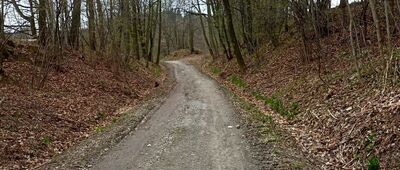 Pod Widną Górą ↔ Witoszów Górny