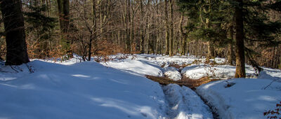 Przełęcz pod Magurką Ponikiewską ↔ (Była) Polana Beskid