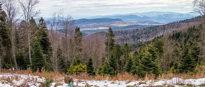 Schronisko PTTK Leskowiec