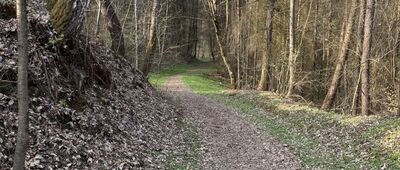 Burów ↔ Wąwóz Burowski