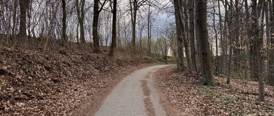 Grzybów ↔ Źródło w Dolinie Grzybowskiej