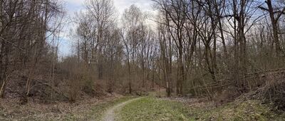 Grzybów ↔ Wąwóz Burowski