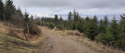 Pod Jasieniem, skrzyżowanie