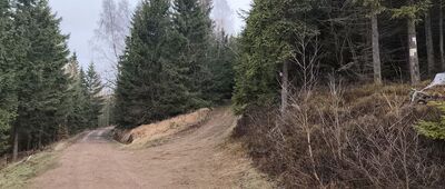 Pod Jasieniem, skrzyżowanie