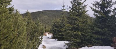 Przełęcz Puchacza ↔ Trójmorski Wierch