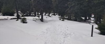 Pod Małym Śnieżnikiem