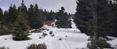 Jaskółcze Skały