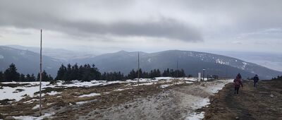 Śnieżnik ↔ Jaskółcze Skały