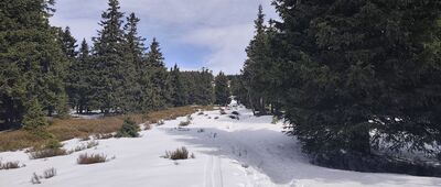 Jaskółcze Skały ↔ Nad Zbojnickou Chatou