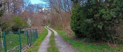 Makowice