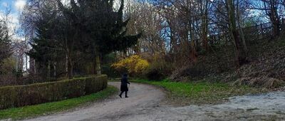 Krzyżowa, przy stacji kolejowej