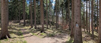 Skrzyżowanie szlaków niebieski / czarny