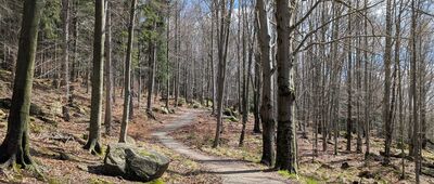 Skrzyżowanie szlaków niebieski / czarny ↔ Strużnickie Skały