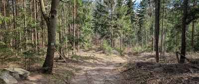 Rozdroże pod Jańską Górą ↔ Krowiarka
