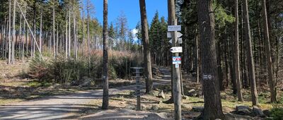 Głaziska Janowickie [Głaziska Janowickie]