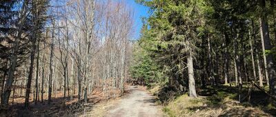 Polana Mniszkowska ↔ Ścieżka dydaktyczna, Miedziane Skały