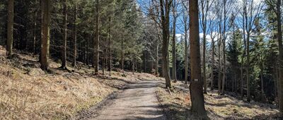 Bezdroże pod Bielcem ↔ Pod Wołkiem