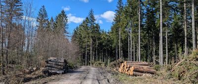 Bezdroże pod Bielcem