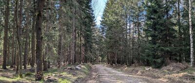 Rozejście szlaków