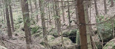 Pánův kříž, rozc. ↔ Božanovský Špičák, rozc.