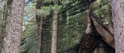 U Zeleného hájku ↔ Koruna, odbočka