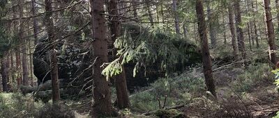 U Pánova kříže ↔ Božanovský Špičák, vyhlídkové místo