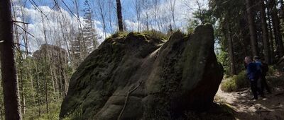 Božanovský Špičák, vyhlídkové místo