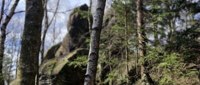 Pánův kříž, rozc. ↔ Božanovský Špičák, vyhlídkové místo