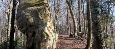 Bykowce, odejście szlaku czarnego ↔ Duży Kamień [Duży Kamień]