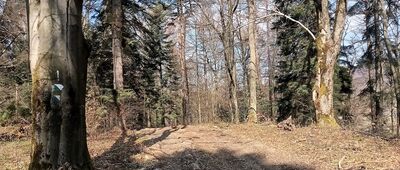 Rozejście szlaków