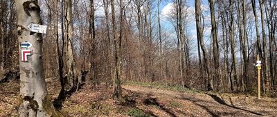 Pod Słonnym Wierchem