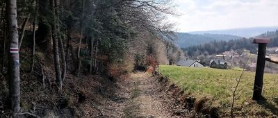 Przełęcz pod Słonnym Wierchem ↔ Liszna, rozejście szlaków