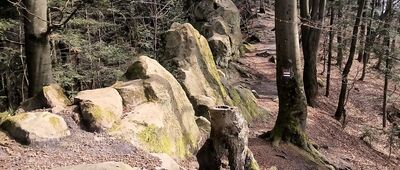 Orle Skały ↔ Orli Kamień [Orli Kamień]