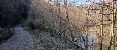 Sine Wiry ↔ Zawój