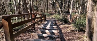 Rozejście ścieżki ↔ Sine Wiry