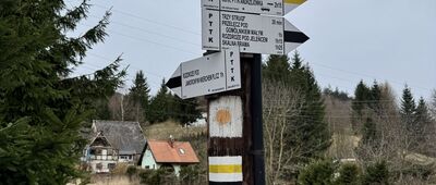 Łomnica, Dopływ spod Radosnej