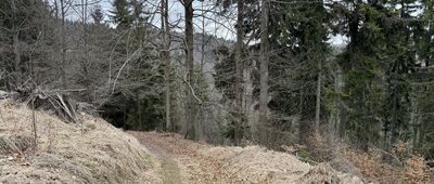 Javorový vrch, rozc. ↔ Javorový vrch, rozc.