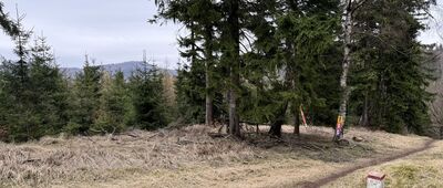 Javorový vrch, rozc.