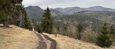 Ruprechtický Špičák